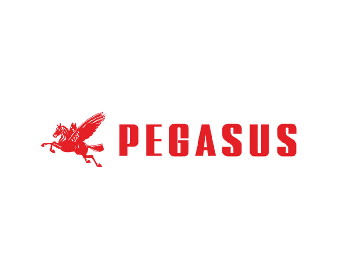 Peças Pegasus