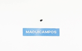 Tornillo M&aacute;quina 12 Agujas<br>Jack<br>305S14003